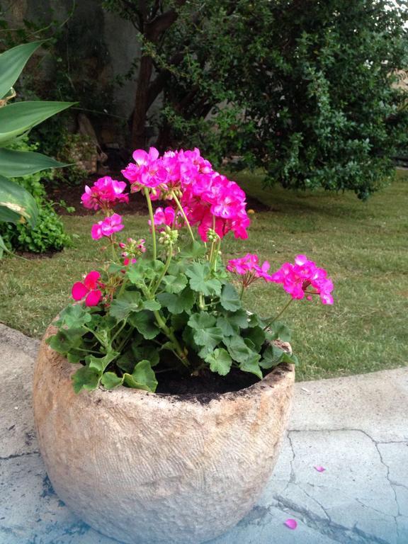 Il Vecchio Ginepro Bed & Breakfast Capoterra Exterior photo